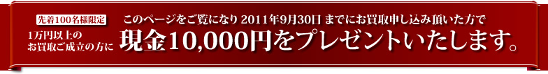̃y[WɂȂ2011N930܂łɂP~ȏ̂您\ݒŁA悲̕ɐ撅100l֌P~v[g܂B